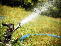 Long Beach residents will only be able to water their lawns three days a week, for 10 minutes each day. 