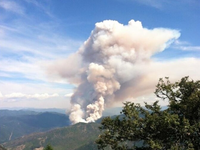 The Saddle Fire began in the Shasta-Trinity National Forest on Tuesday, after numerous lightning strikes hit the forest. 