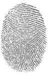 5b2c56924488b3000927ebc8-original.jpg