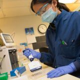 SEATTLE, WA - APRIL 17: Medical laboratory scientist, Alicia Bui, runs a clinical test in the Immunology lab at UW Medicine looking for antibodies against SARS-CoV-2, a virus strain that causes coronavirus disease (COVID-19) on April 17, 2020 in Seattle, Washington. The plasma she is examining came from donors who have recovered from COVID-19, a contagious respiratory illness, and may have the potential to help combat the disease in others. (Photo by Karen Ducey/Getty Images)