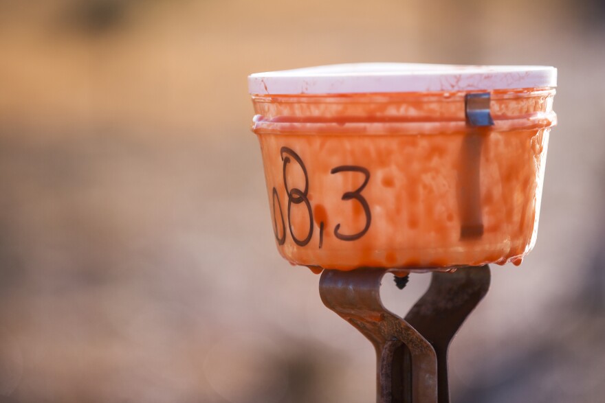 Plastic containers are filled with Phos-Chek at Fox Airfield in Lancaster on Friday morning, July 8, 2016 after a drop test by the U.S. Forest Service. The test site has 137 rows of containers.