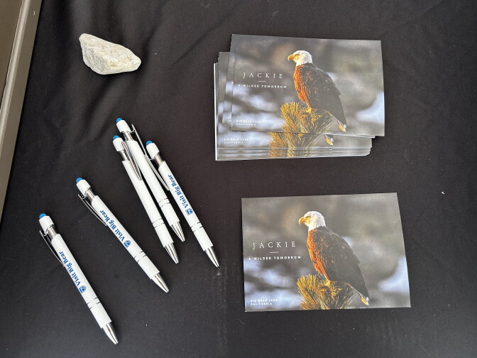 Postcards reading 'Jackie, A Wilder Tomorrow' show a bald eagle perched on pine branches, next to pens labeled 'Visit Big Bear' and a small rock.