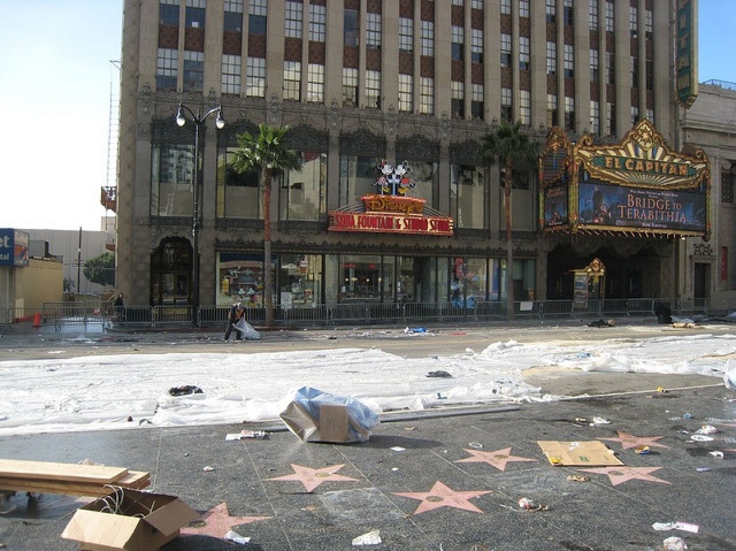 hollywood_dreams.jpg