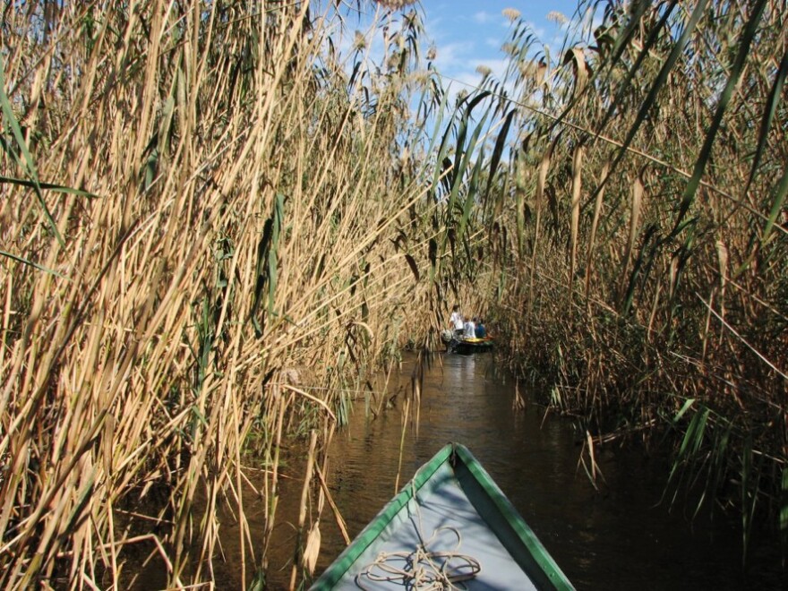 Floating through the Volga River delta as it approaches the Caspian Sea.