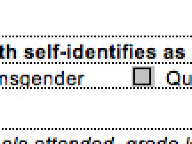 DCFS form 709 is a needs assessment for every foster child, and it includes a line to indicate whether a child identifies as LGBT.