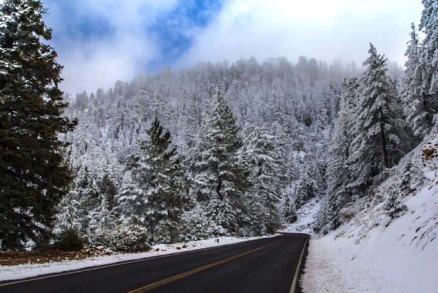 snow_14.jpg