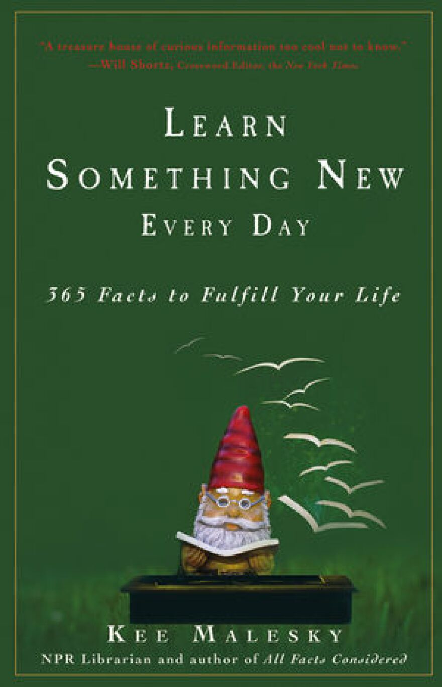 Cover of Kee Malesky's book "Learn Something New Every Day."