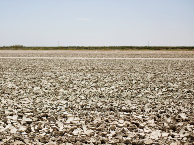 The Salton Sea sits about a hundred miles inland and is a regular destination for waterfowl.