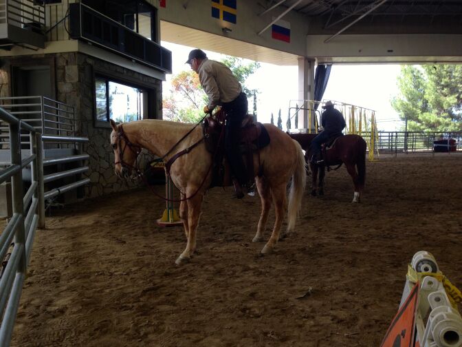An officer gets on his horse during a training exercise.