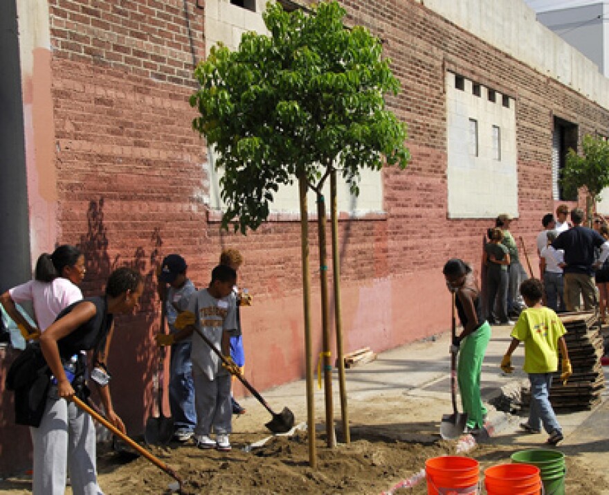 Tree_Planting_LA.jpg