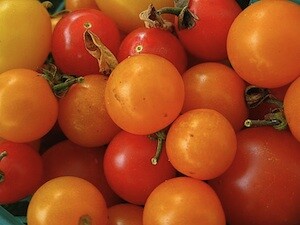 fremont-hs-garden.jpg