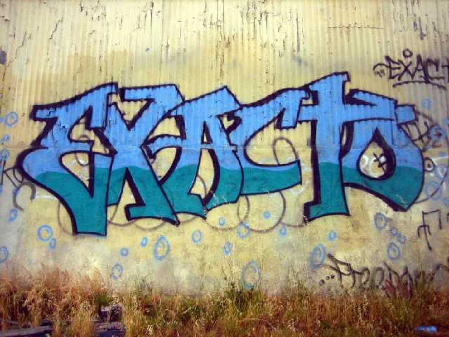 5b2c606e4488b30009282d5c-original.jpg