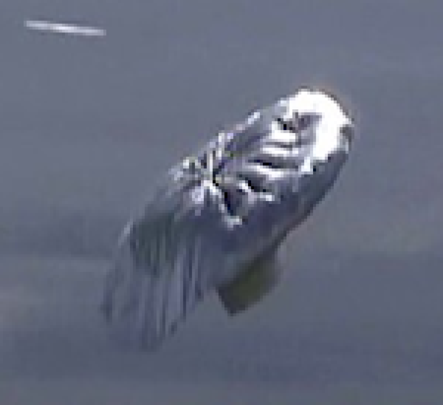boy-balloon-colorado.png