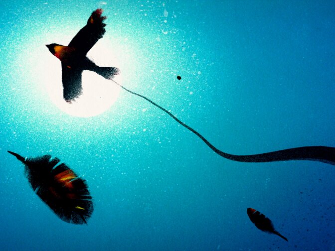 Kahlil Gibran's, "The Prophet" has been adapted cinematically in a film staring Salma Hayek and Liam Neeson. 