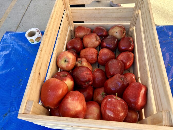 A wooden crate holds about two dozen red apples.