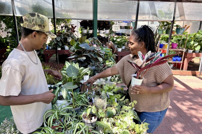 A dark skinned man wearing a baseball cap and a white T shirt is helping a woman choose plants from a crowded table. She is dark skinned and is holding a large plant.