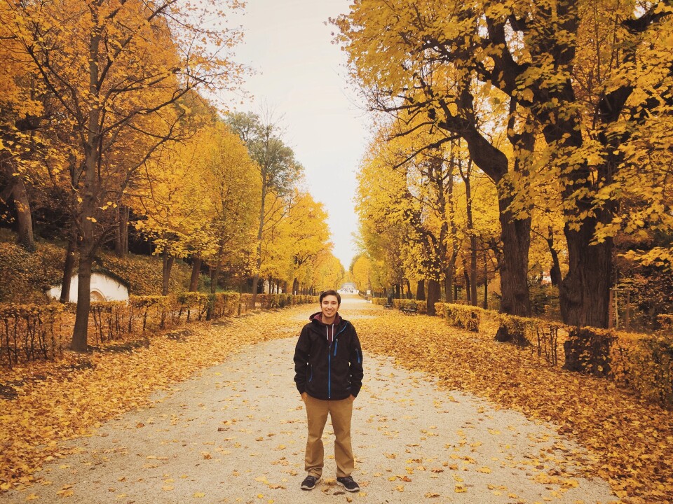 A young white man stands in the center of a path lined by large trees with yellow fall leaves. 