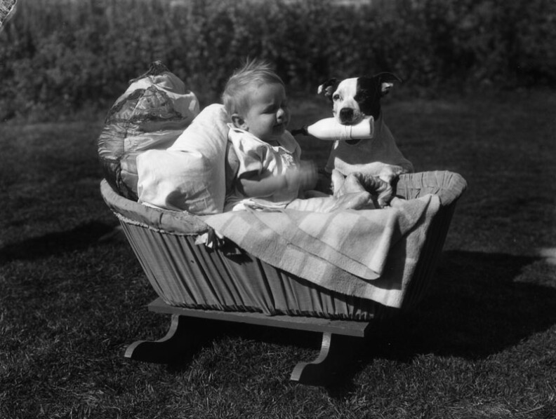 In this undated photo, a network television executive is fed by his familiar. Then, it's naptime.