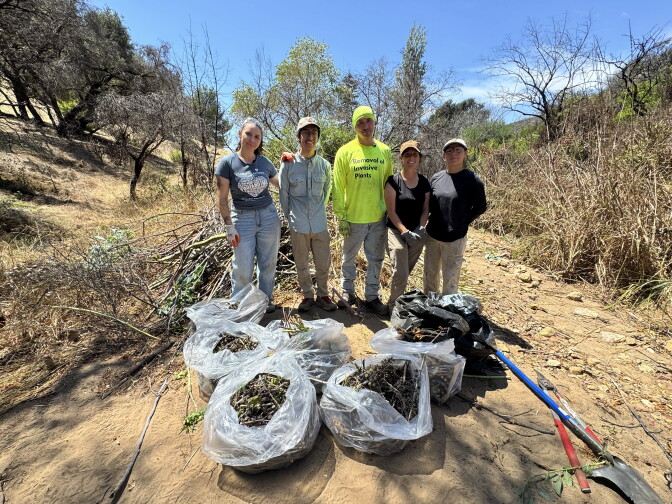 A group of five people stand side by side on a dirt path with seven large plastic bags full of plant material. 