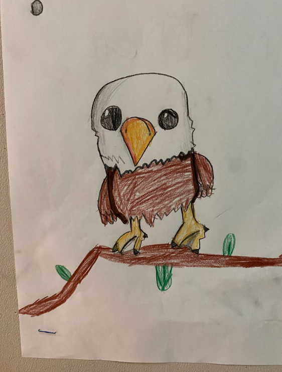 A colored-pencil drawing of a brown and white bald eagle, with yellow feet and beak, standing on a brown branch.