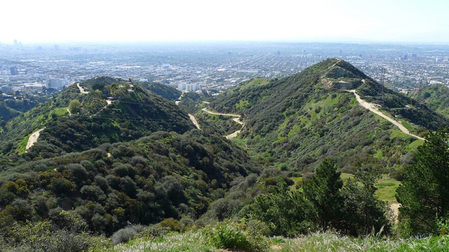 runyoncanyon.jpg