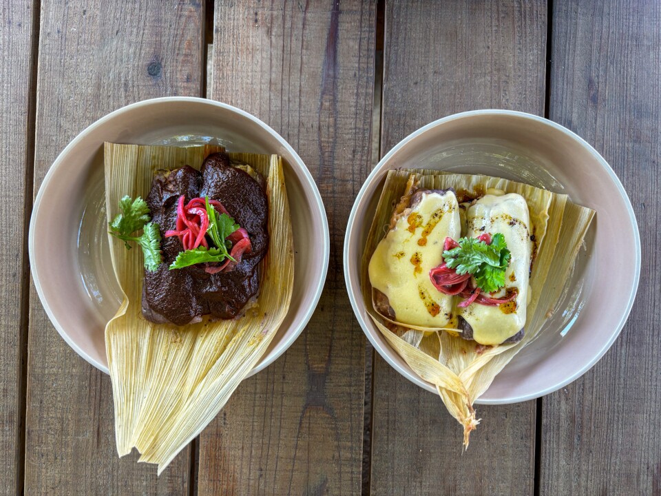 Two tamales side by side: one covered in dark mole with pickled onions and herbs, the other topped with melted cheese and finished with pickled onions.