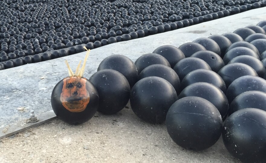 What ever happened to LA's 'shade balls'? LAist