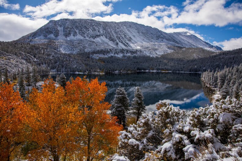 A snowy mountain lake pictured with orange-red leaves on a deciduous tree in the foreground. The other trees in view are snow-covered evergreens.