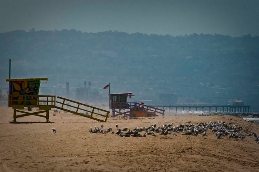 dockweilerstatebeach.png