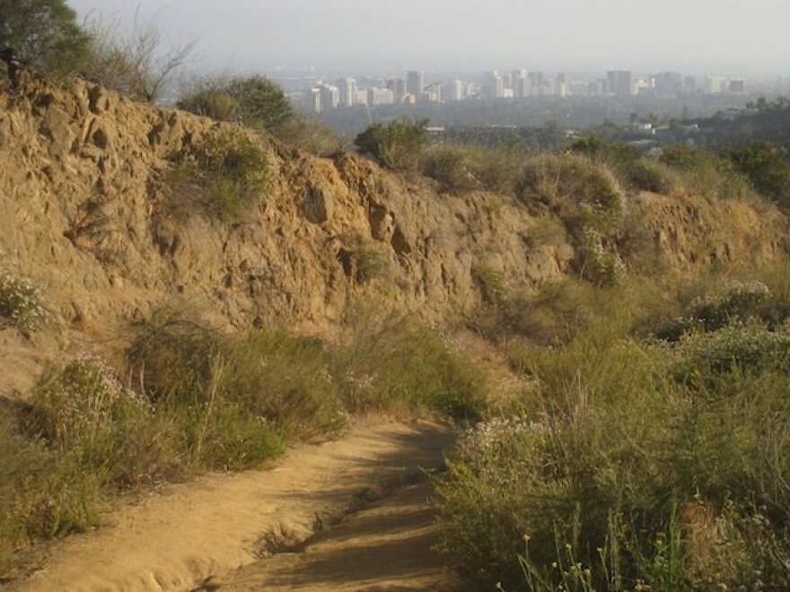 hastain-trail-zach.jpg
