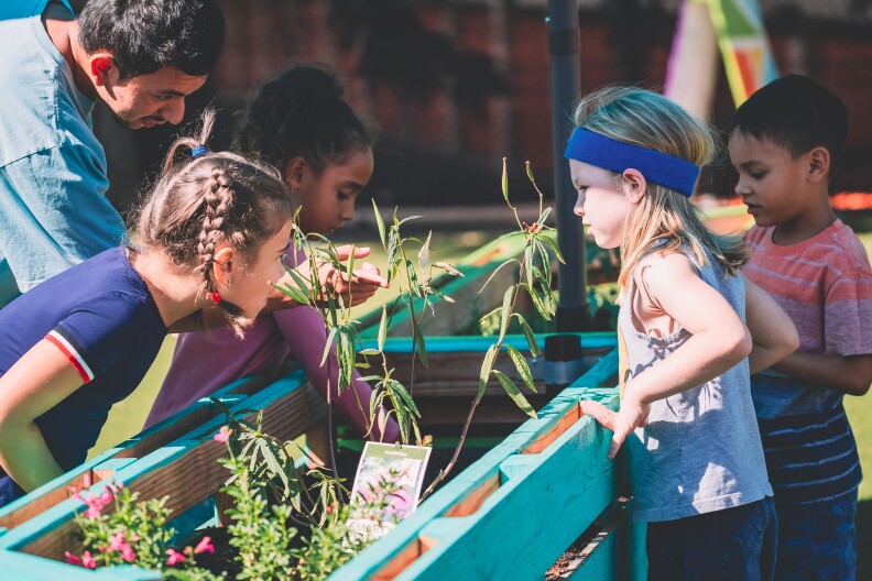 Young students tend to an urban garden planter