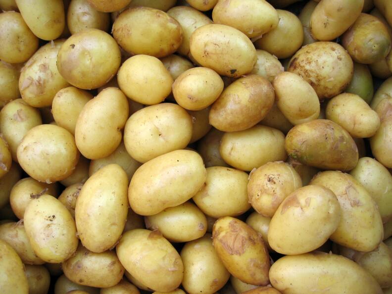 an overhead shot of a bunch of pale yellow waxy potatoes