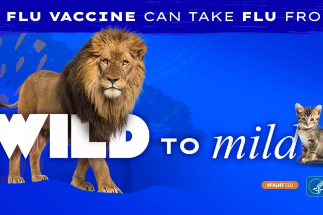 One of the social media graphics included in the "Wild to Mild" flu vaccination campaign run by the Centers for Disease Control and Prevention.