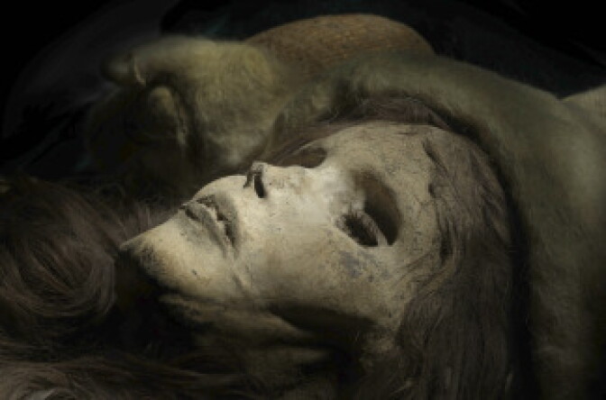 One of the Chinese mummies on display as part of "Secrets of the Silk Road: Mystery Mummies from China" exhibit at the Bowers Museum in Santa Ana.  