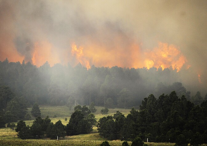 Firefighters attacked dozens of wildfires in California, Colorado and other Western states where hot and windy conditions persisted Thursday, including two fires that forced hundreds of people out of their homes in Colorado. (Photo: Fire from the Black Forest Fire burns behind a stand of trees June 12, 2013 near Colorado Springs, Colorado.)