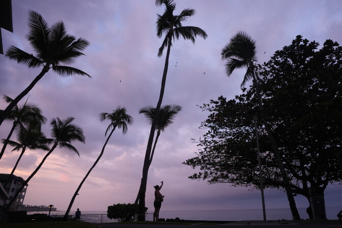Palm trees against a purplish sky.