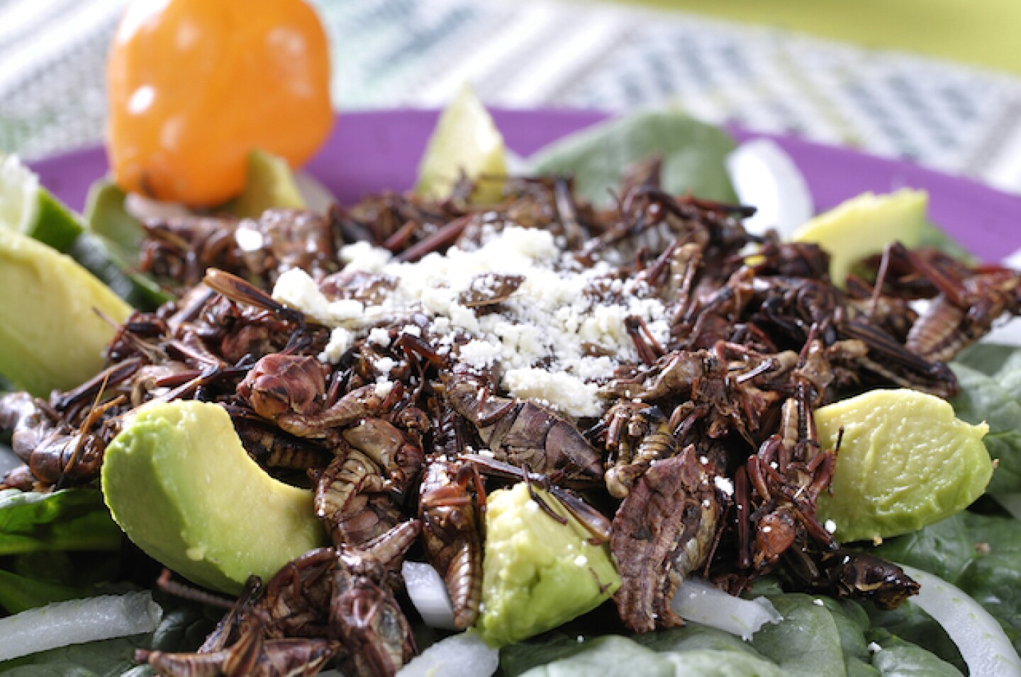 chapulines.jpg