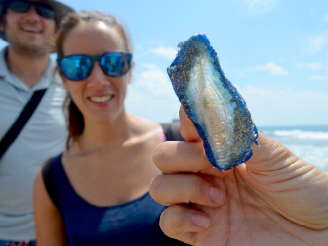 Maria Gonzales and Johanna Rique look on as their friend Amanda Hernandez holds a dead jellyfish. All three of them visited Santa Monica beach from their home country of Spain.
