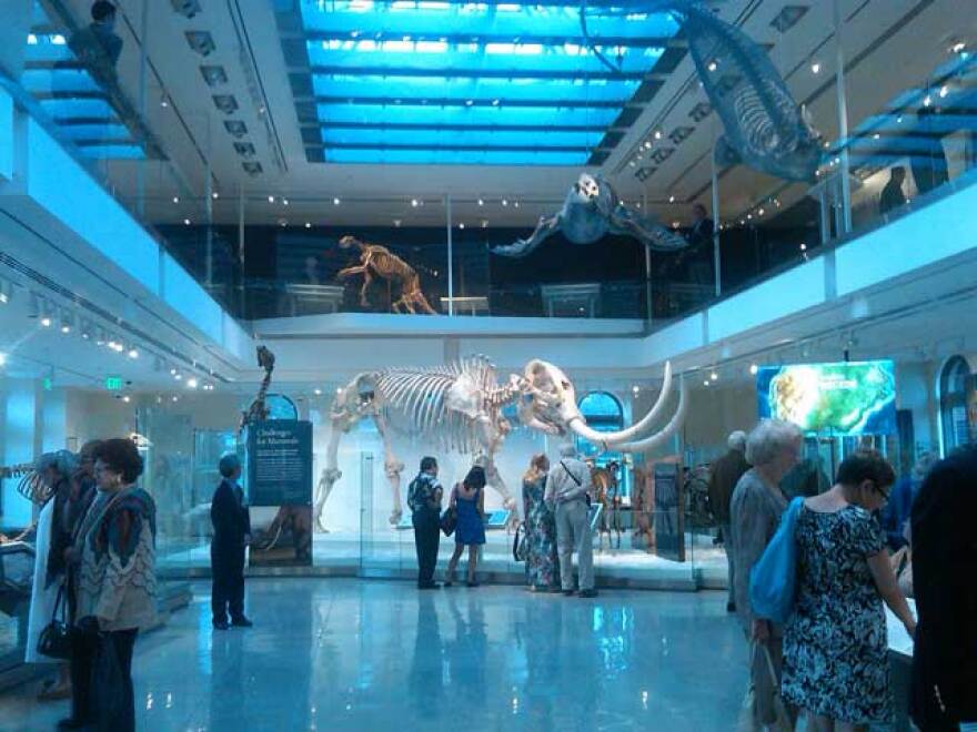 age-of-mammals-nhm.jpg