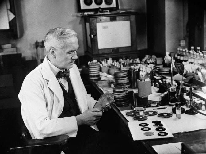 Sir Alexander Fleming (1881 - 1955), discoverer of penicillin, studies mould cultures in his laboratory at the Wright Fleming Institute in London. Fleming also developed a technique of 'painting' pictures with germs, drawing outlines on small pieces of paper, which would grow into a picture as the microbes multiplied.