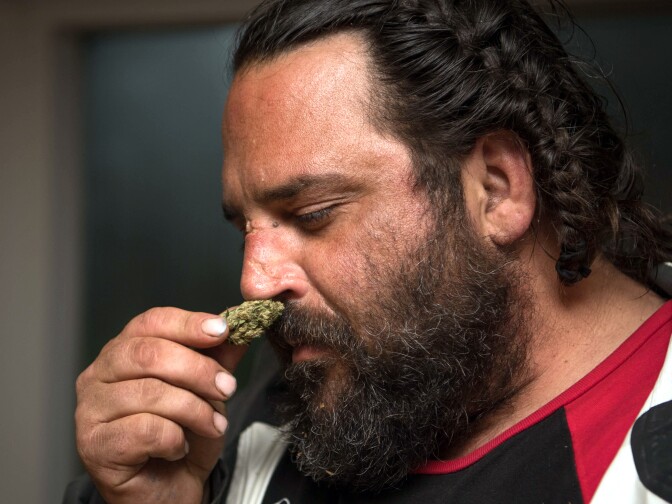 Grower Adrian Shareve, who has accepted payment in the form of pork and other barter items, inspects a marijuana nug provided by grower Justin Calvino, in Mendocino County, California on April 19, 2017.