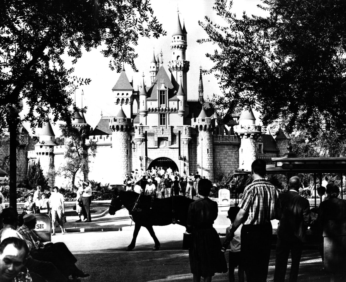 Fantasyland