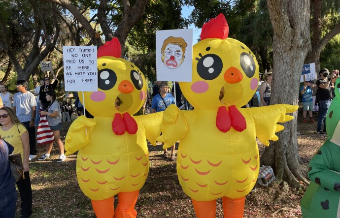 Two people in chicken costumes hold anti-Trump signs.