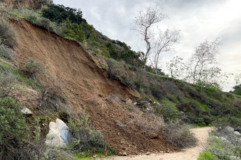 A pile of mud, dirt, and branches that has rolled down a hillside.