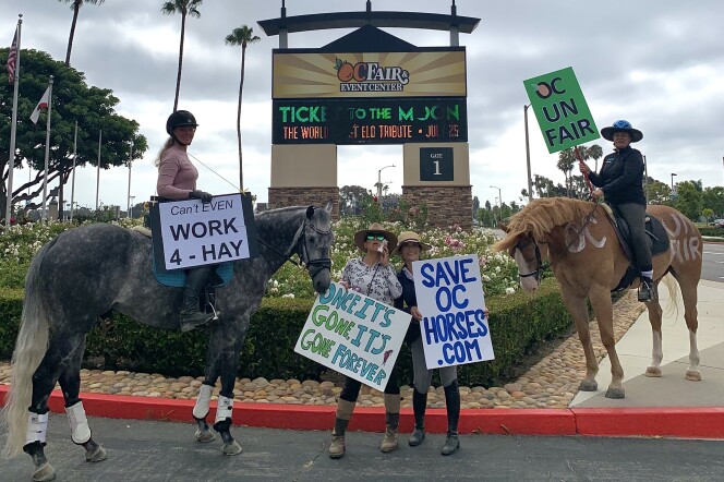 One person wearing a pink tshirt and a black hard hat sits atop a grey horse carrying the sign Cant Even Work 4-HAY. Another person wearing a hat and a black long sleeve tshirt sits a top a brown horse carrying a sign OC UN FAIR. Two people wearing straw hats stand in front of a post that reads OC FAIR. They are carrying signs that read SAVEOCHORSES.COM and Once Its Gone Its Gone Forever. 