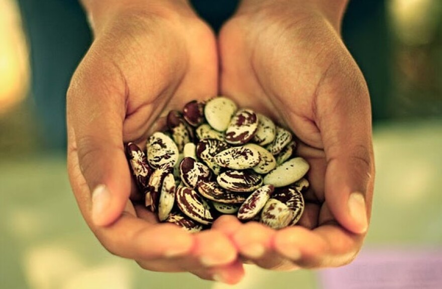 seeds.jpg
