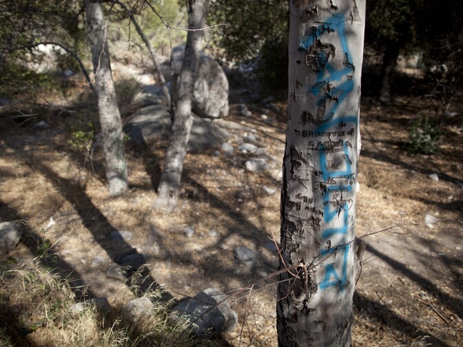 With the designation of a portion of the San Gabriel Mountains a national monument, proponents hope more funds will be dedicated to clean up graffiti and trash along the San Gabriel River.