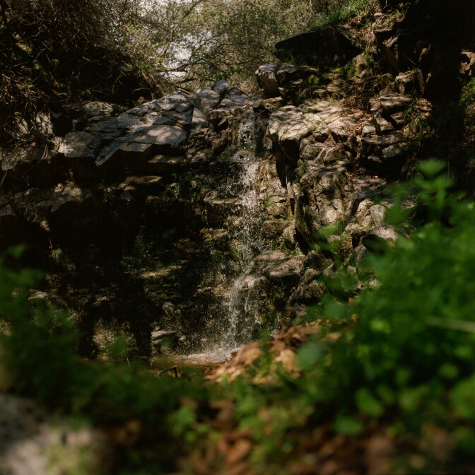 A stream of water flowing through rocks and green shubbery