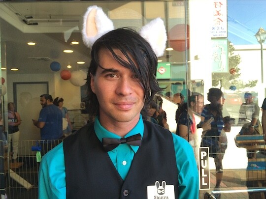 One of the doormen, "Shinya," ushers people in and out of LA's first cat cafe, the Catfé