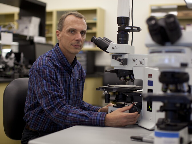 Dr. James Weiland in the Bioelectronic Research Lab at the USC Eye Institute where he works on further developing retinal implants that use electrical stimulation and bioelectrode technology.